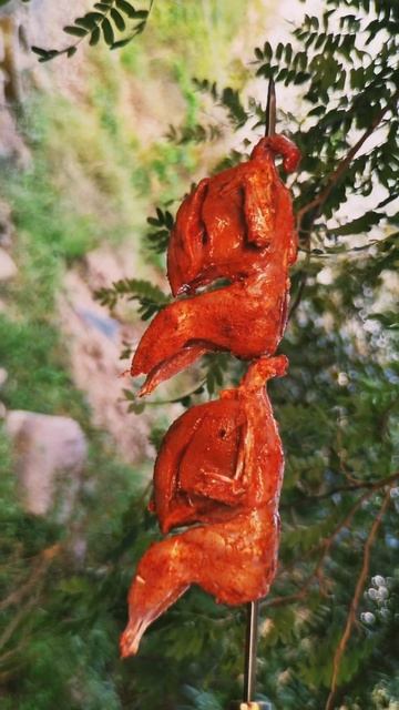 Healthy & Tasty Quail Birds Roast | Recipe | #shorts | Jungle Kitchen смотреть онлайн