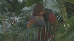 Камни, палки, два клеща