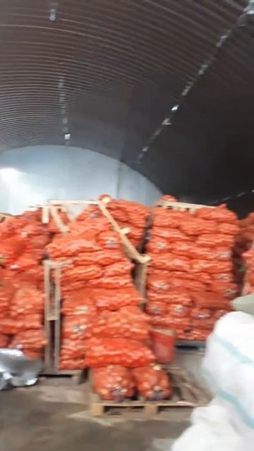 Лук склад Челябинск смотреть онлайн