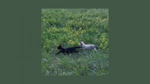 плейлист, чтобы почувствовать себя тем другом, который внезапно исчез.