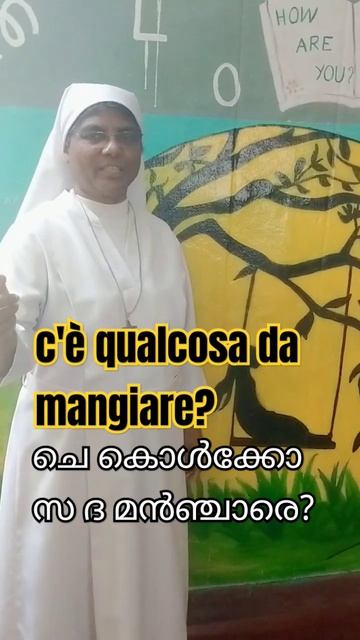 73 - ഇറ്റാലിയൻ ഭാഷ മലയാളത്തിൽ പഠിക്കാം#Learn Italian in Malayalam# Sr.Elsy смотреть онлайн