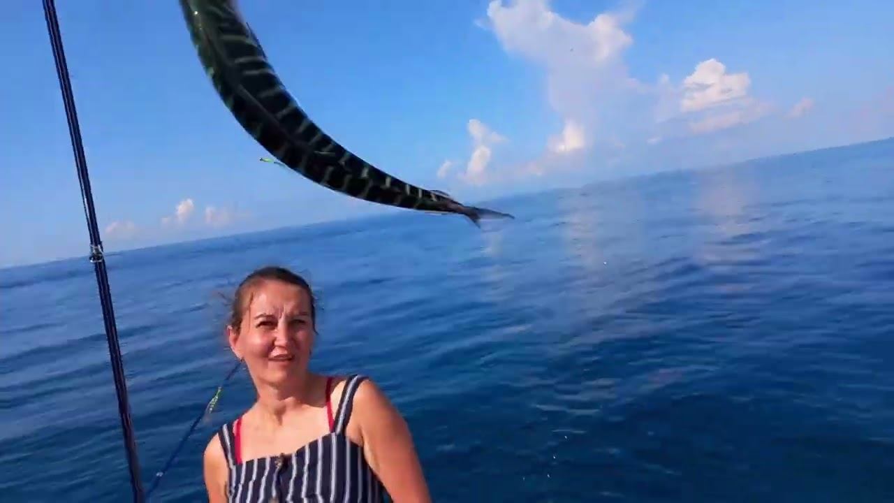 Пеламида, красавица Черного моря смотреть онлайн