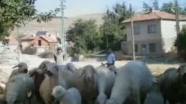 Yozgat Kozan Köyü,,Hamza Sahin Katkilariyla Kozanimi Özledim смотреть онлайн