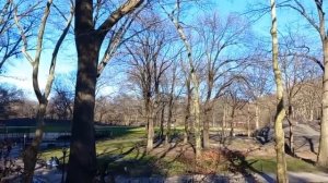 Елена Ланге Ч#2. Имущество Мужа. Почему Выгнали Троя. Ольга Брукман. Olga Patson. #жизньвсша