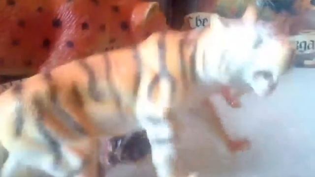 МОЯ КОЛЛЕЦИЯ диких кошек (не вся😏)!!! Первое видео!|КИШ🐱 смотреть онлайн