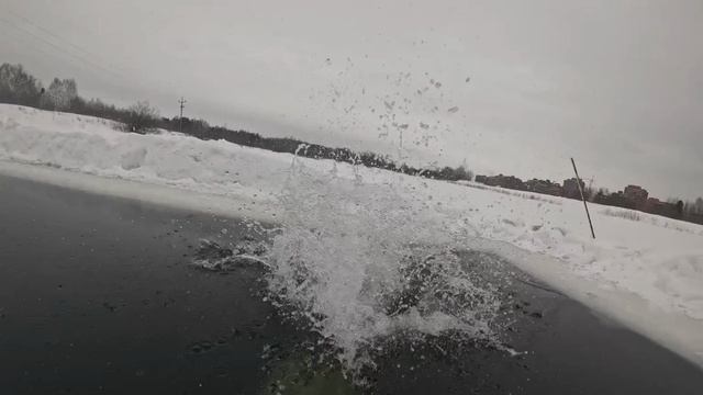 ТомскиеМоржиСила💪