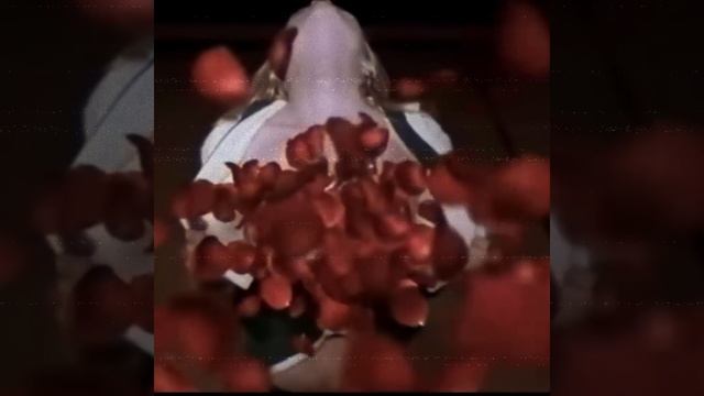 Mareux - The Perfect Girl смотреть онлайн