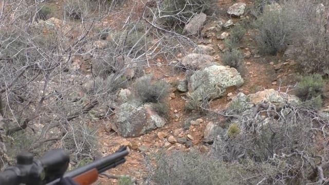 5 Fox & Coyote Guided Hunt смотреть онлайн