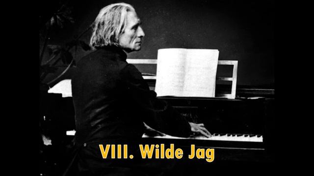 12 études d'exécution transcendante Franz Liszt смотреть онлайн