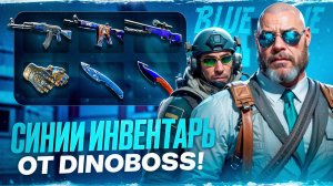 СИНЯЯ СБОРКА ИНВЕНТАРЯ КС | ИДЕАЛЬНЫЙ ИНВЕНТАРЬ CS ОТ ДИНО | СИНИЙ СЕТ CS2 #синийсет #синиескины