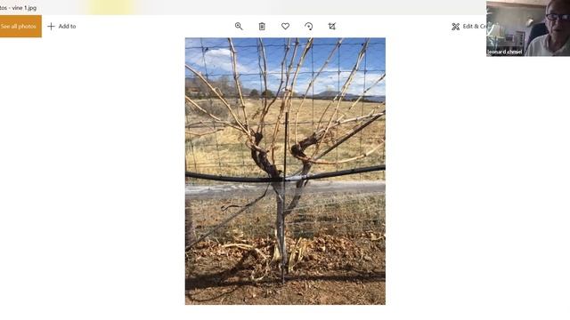 Field Grafting with Len Chmiel 2020July27 смотреть онлайн