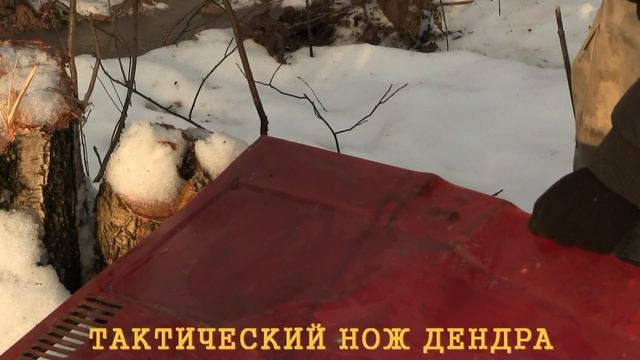 Нож DENDRA  INAZUMA