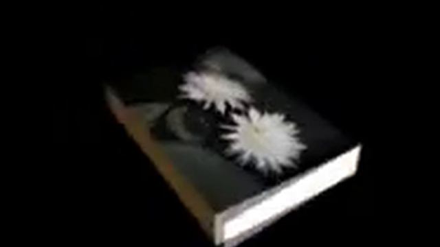 CACTUS 00 смотреть онлайн