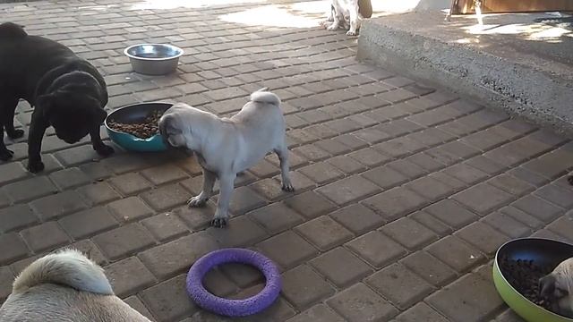 VANESSA съемки 05.07.17 смотреть онлайн