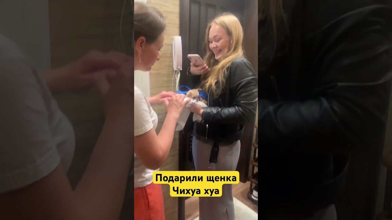 Щенок на день рождения