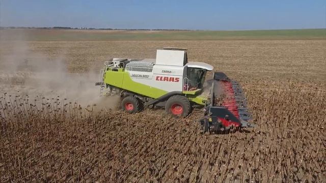 Синджента - експертът в слънчогледа! смотреть онлайн