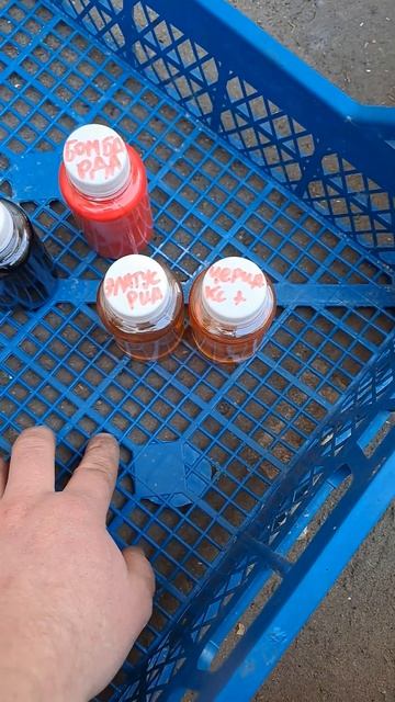 Набор для клубники. Дифломайт. Земляничный Клещ смотреть онлайн