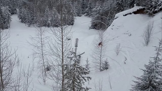 Сноуборд вне трасс: Экстремальный Выход любителей!