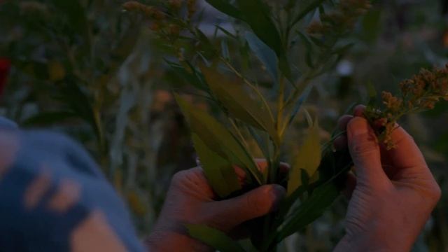 The Butterflyway Diaries, Episode 3: The Richer the Soil смотреть онлайн