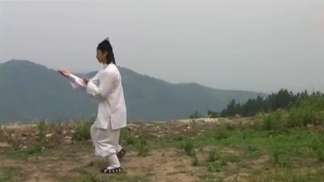 China Wudang Kungfu - Taiji 13 Forms - Master Chen Shixing смотреть онлайн