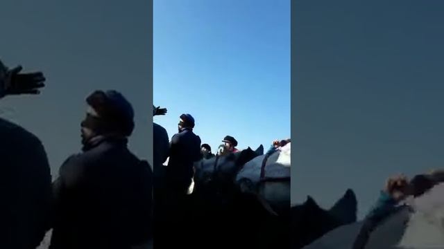 Болыс палуан 2018 смотреть онлайн