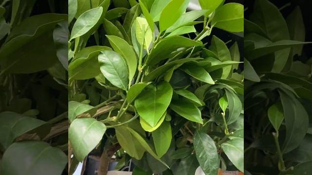 Обзор 26 августа 2 часть смотреть онлайн