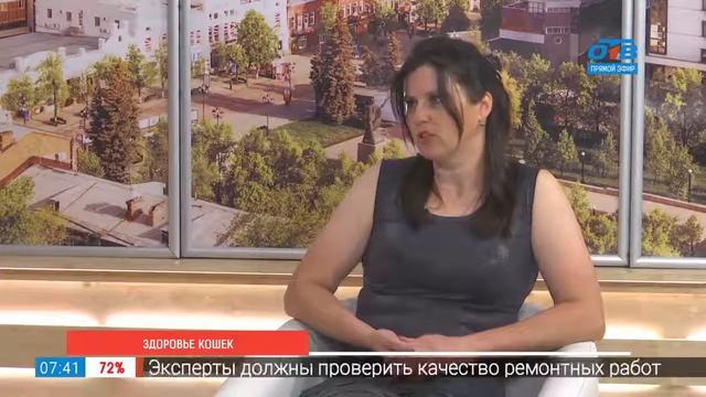 Здоровье кошек смотреть онлайн