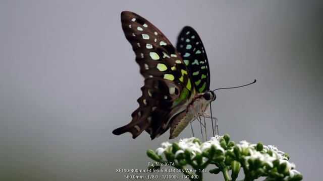 FujiFilm X-T4 📸 Sample Photography - Image Quality смотреть онлайн