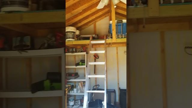 Citrus Drive outside смотреть онлайн