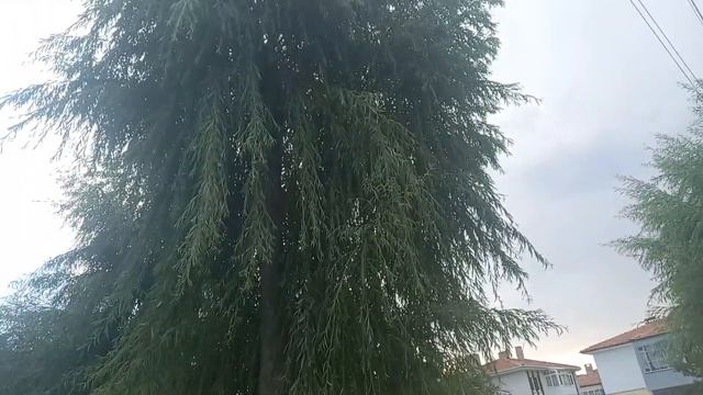 РАЙОН ПОХОЖИЙ НА ВАРСАК И КЕПЕЗ В 2000 ГОДЫ В АНТАЛИИ ! МАХЕЛЛЕ ОВАЖИК В КЕЧИОРЕН АНКАРА ! смотреть онлайн