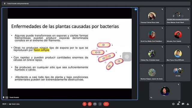 🥦Fitopatología #5: Bacterias Fitopatógenas | 21/10/2021 смотреть онлайн