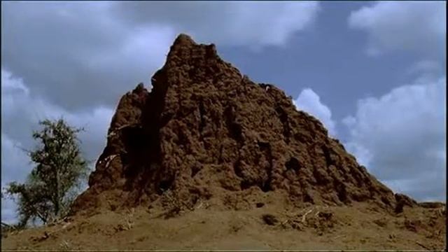 Africa's Paradise Of Thorns смотреть онлайн