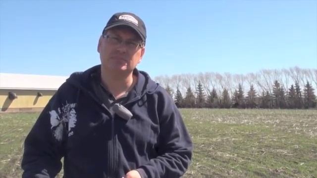 Wheat School: Evaluating Winter Wheat смотреть онлайн