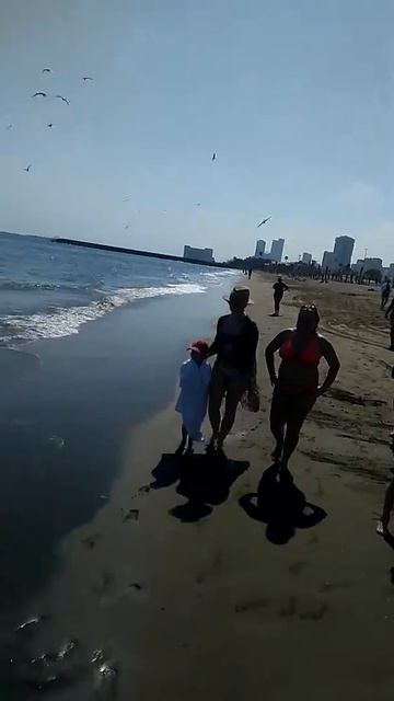 Fishing in Umbrella beach смотреть онлайн