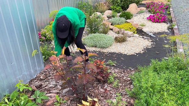 Рабочий ВЛОГ! Стригу всё, что вижу! Вред или польза?