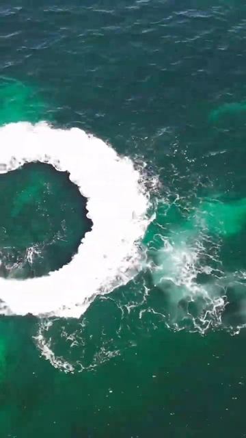 Seadoo Fish Pro Adventures #youtubeshorts #shorts #shortsvideo смотреть онлайн