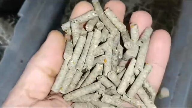6 мм и 11 мм гранулы смотреть онлайн