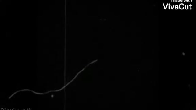 Медди и Ридиан || Дождь || Алёна Швец