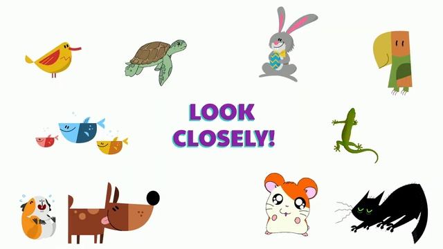 What's Missing? Pets. Game. Quiz смотреть онлайн