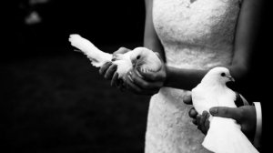 Соня Белькевич, Крестов - Голуби