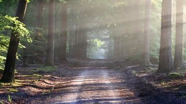 _И скучно и грустно_ Михаил Юрьевич Лермонтов. Аудио смотреть онлайн