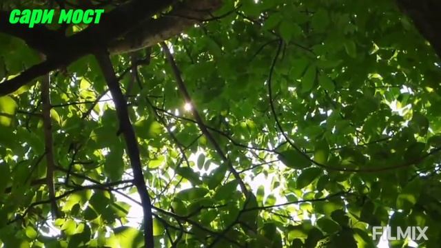 МОХИ ШАРИФИ РАМАЗОН МУБОРАК смотреть онлайн