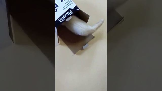 коробка смотреть онлайн