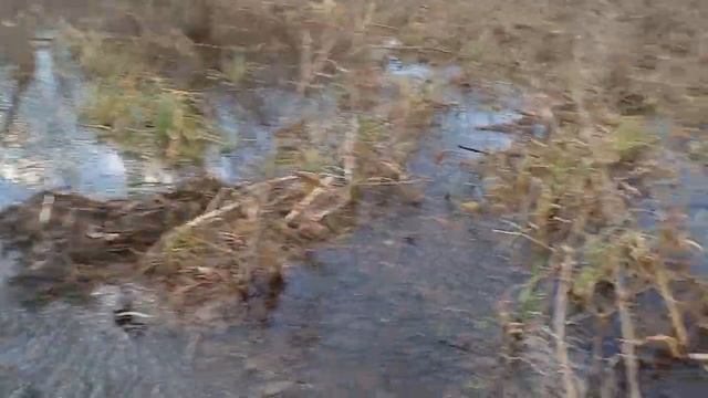 Бобринная платина смотреть онлайн