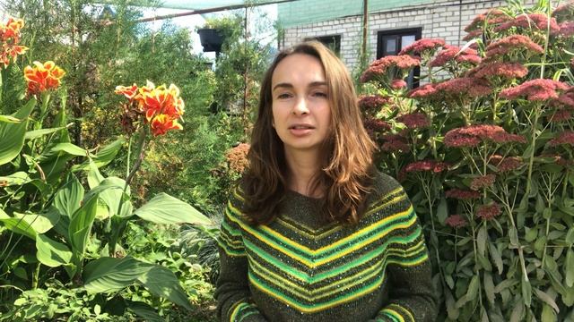 Ваши вопросы: Как найти свою вторую половинку смотреть онлайн