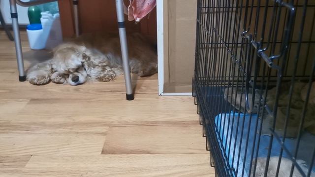 когда все спят и даже батя 🤣, кроме самого маленького 🥰 смотреть онлайн
