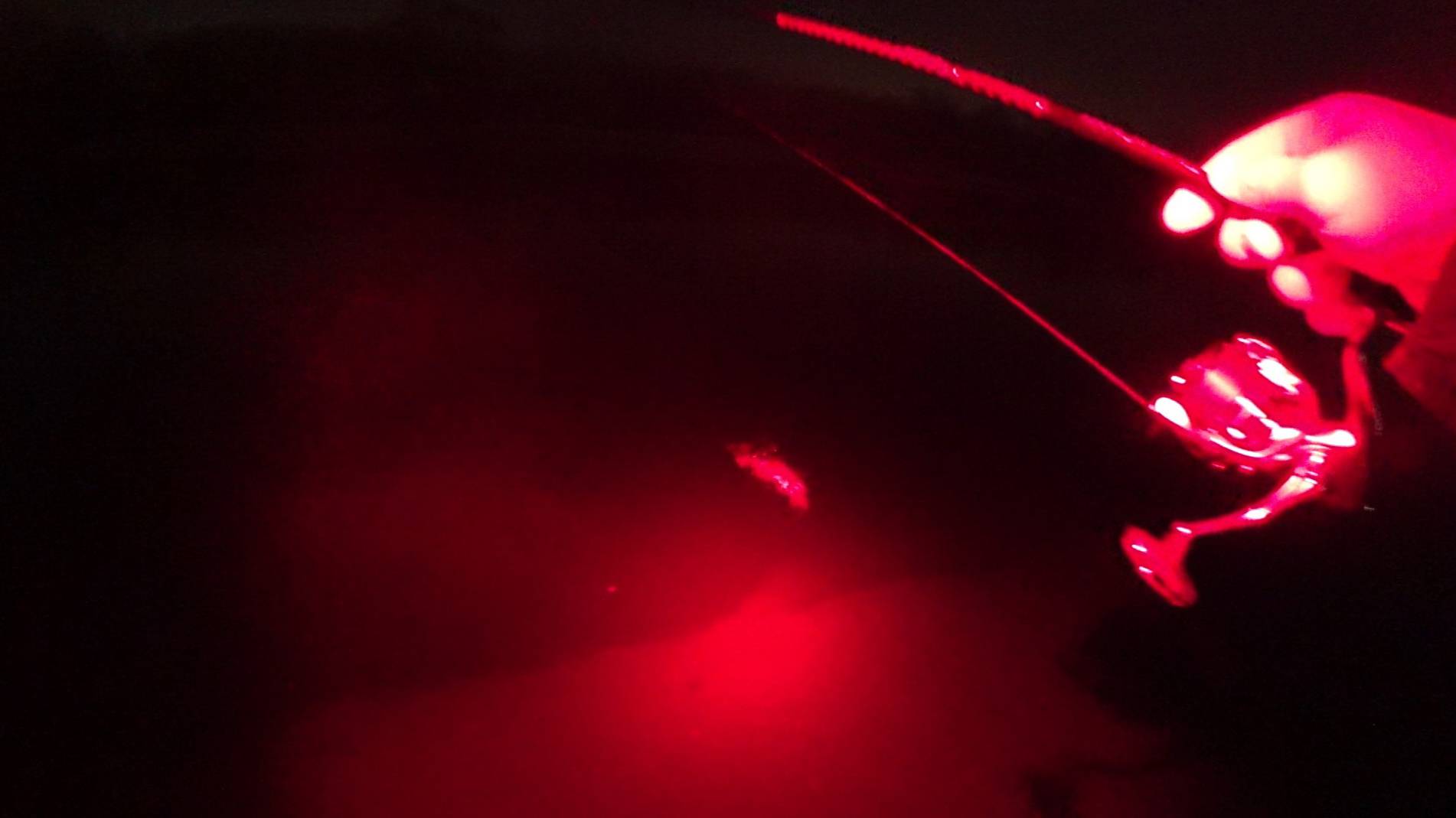 УВИДЕЛ, ПОДБРОСИЛ, ПОЙМАЛ. Невероятная рыбалка, поймал судака в приглядку под ногами