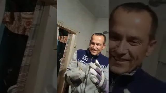 летучая мышь смотреть онлайн