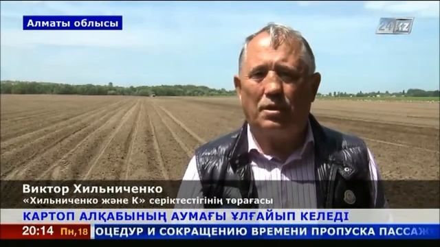 Биыл Алматы облысындағы картоп алқаптары кеңейтілуде смотреть онлайн