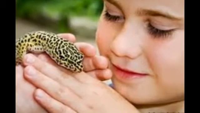 leopard geckos смотреть онлайн